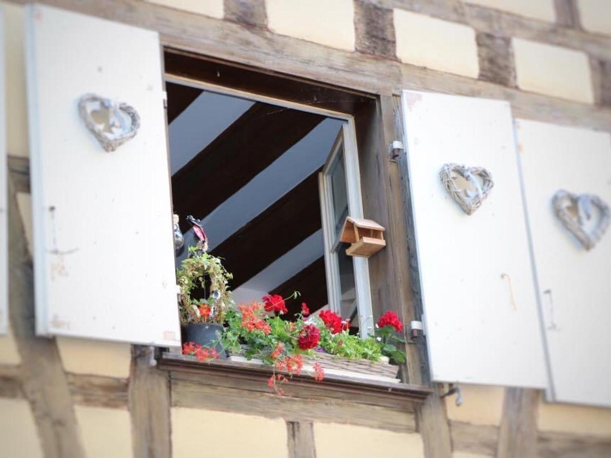 Charmant Appart Avec Garage Et Terrasse Au Coeur De Colmar, Pres De La Route Des Vins D'Alsace - Fr-1-722-6 Bagian luar foto
