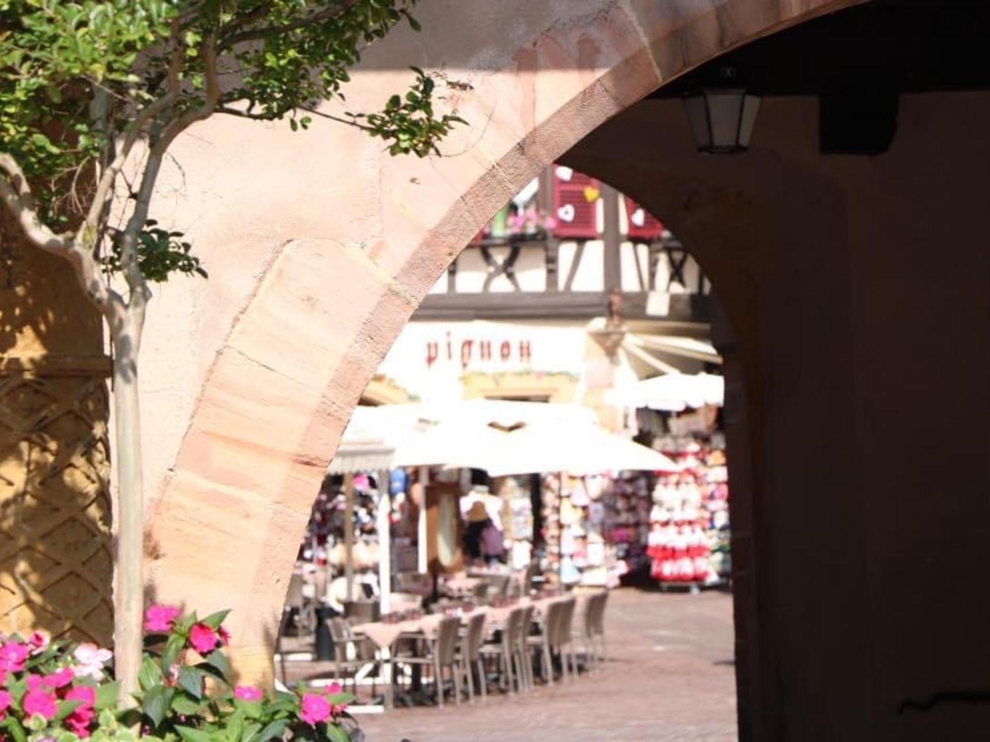 Charmant Appart Avec Garage Et Terrasse Au Coeur De Colmar, Pres De La Route Des Vins D'Alsace - Fr-1-722-6 Bagian luar foto