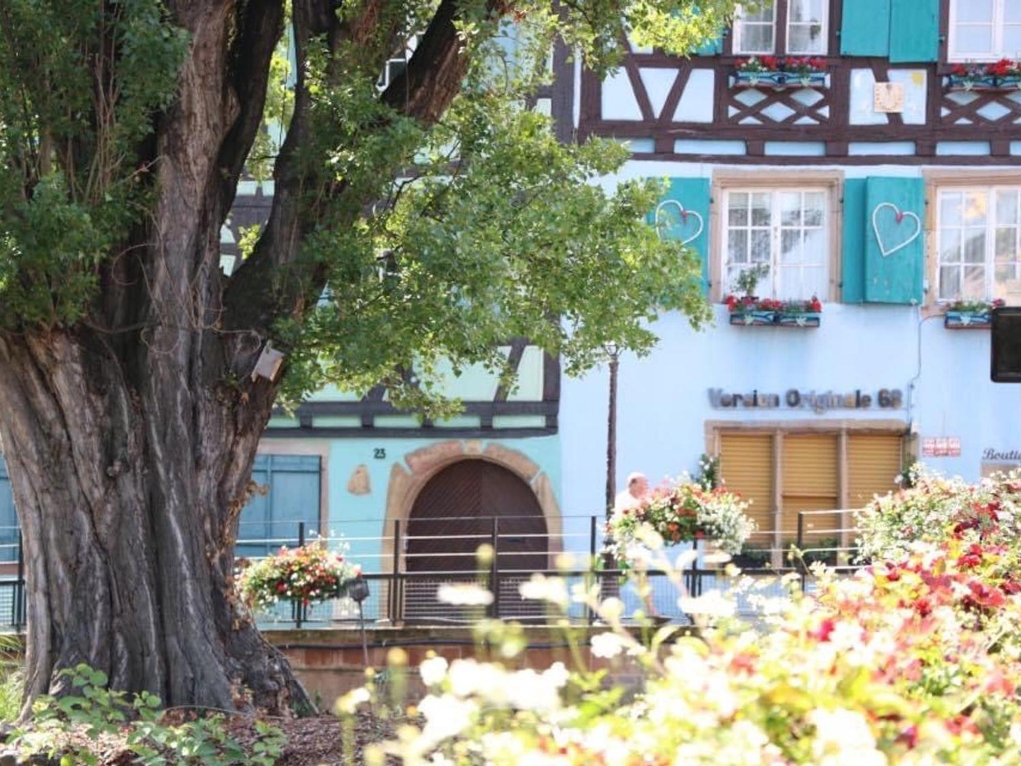 Charmant Appart Avec Garage Et Terrasse Au Coeur De Colmar, Pres De La Route Des Vins D'Alsace - Fr-1-722-6 Bagian luar foto